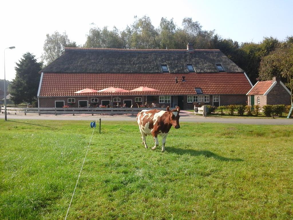 B&B De Luttikhoeve Giethmen Esterno foto