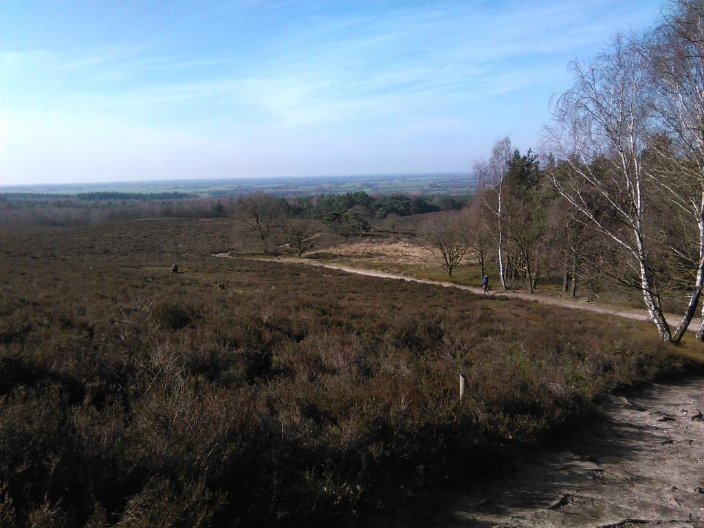 B&B De Luttikhoeve Giethmen Esterno foto